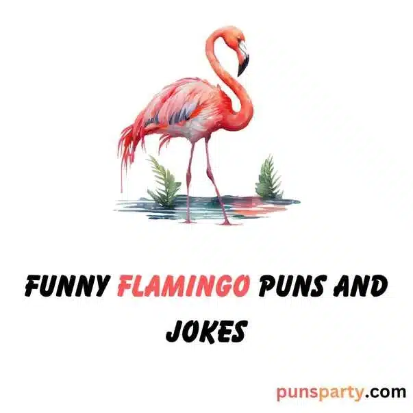flamingo puns