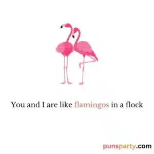 flamingo puns