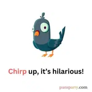 pigeon puns