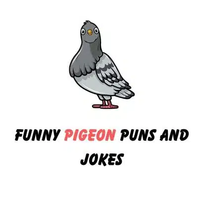 pigeon puns