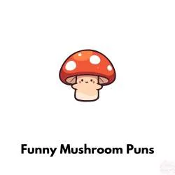 Funny Mushroom puns