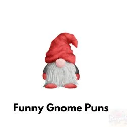 Gnome puns