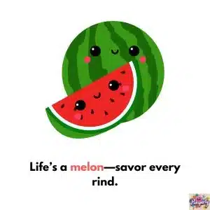 Watermelon Puns