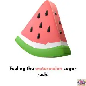 Watermelon Puns